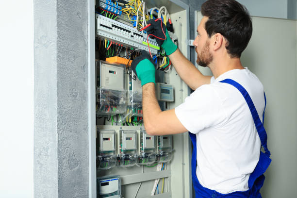 Best Electric Panel Repair  in Fowlkes, TN